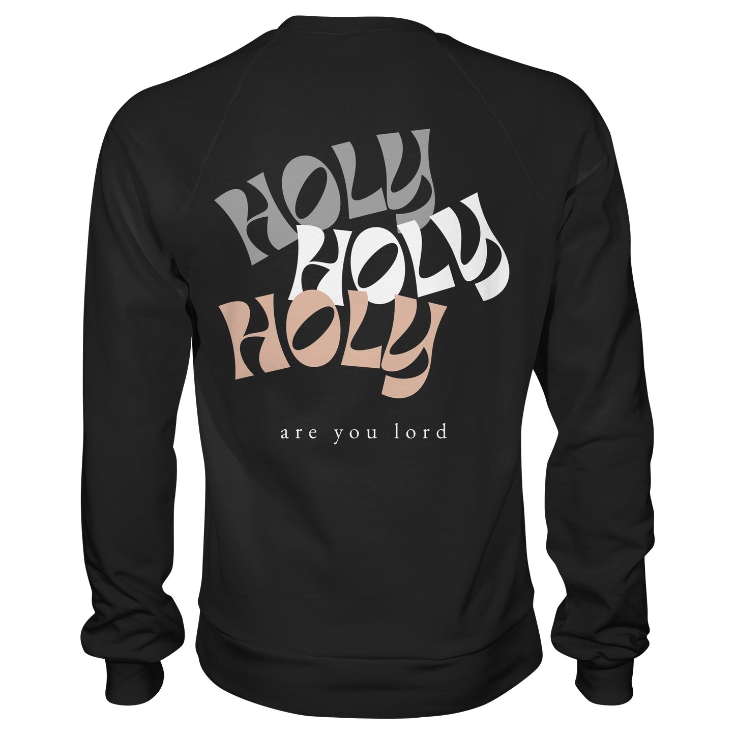 HOLY - are you lord - Basic Sweatshirt