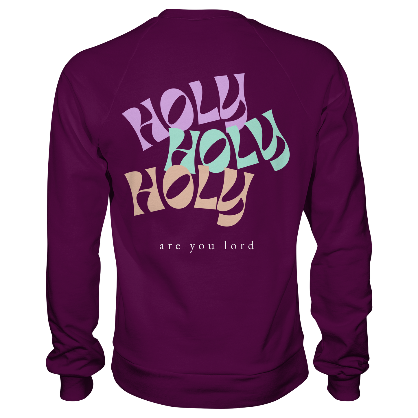 HOLY - are you lord - Basic Sweatshirt