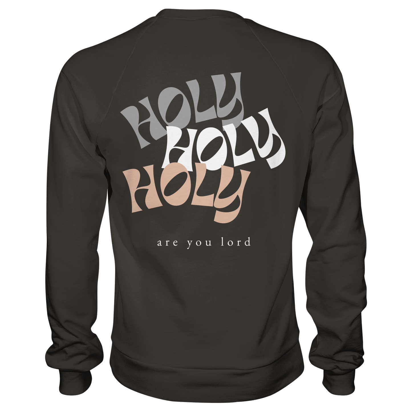 HOLY - are you lord - Basic Sweatshirt