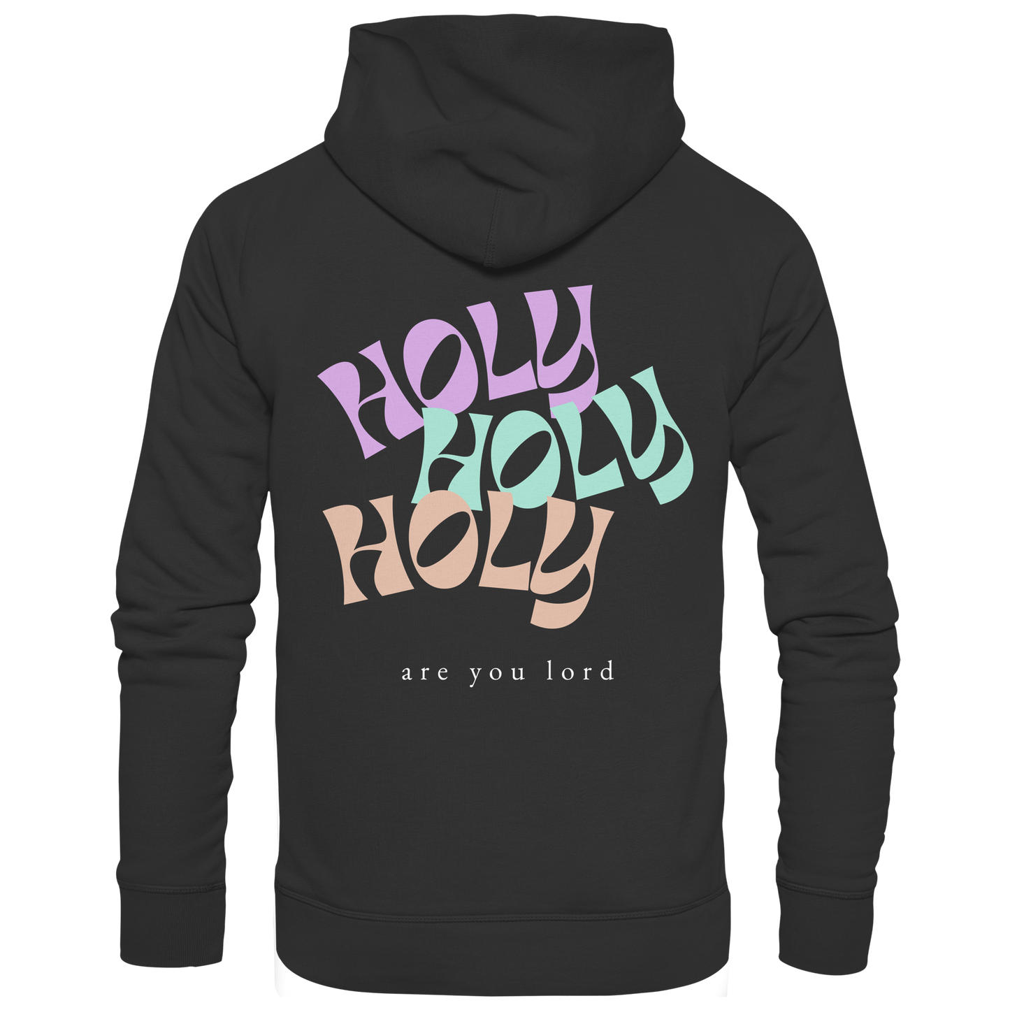 HOLY - are you lord - Basic Unisex Hoodie