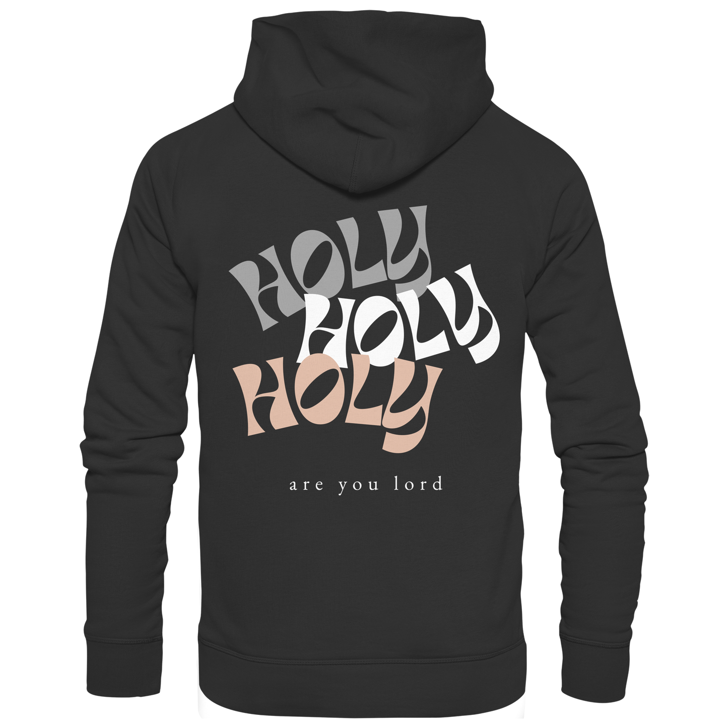 HOLY - are you lord - Basic Unisex Hoodie