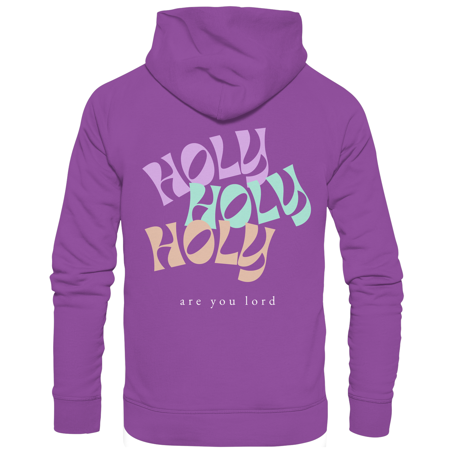 HOLY - are you lord - Basic Unisex Hoodie