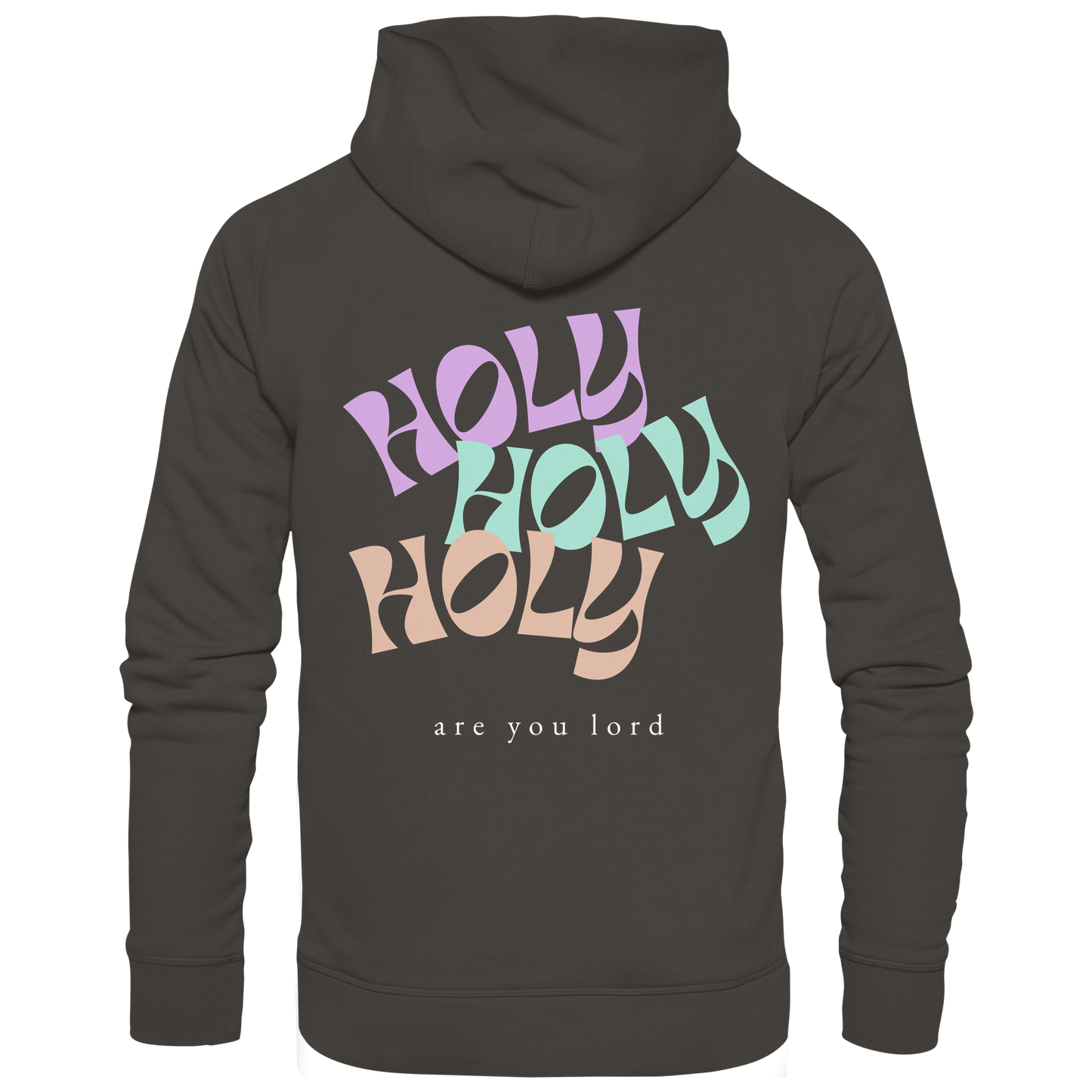 HOLY - are you lord - Basic Unisex Hoodie