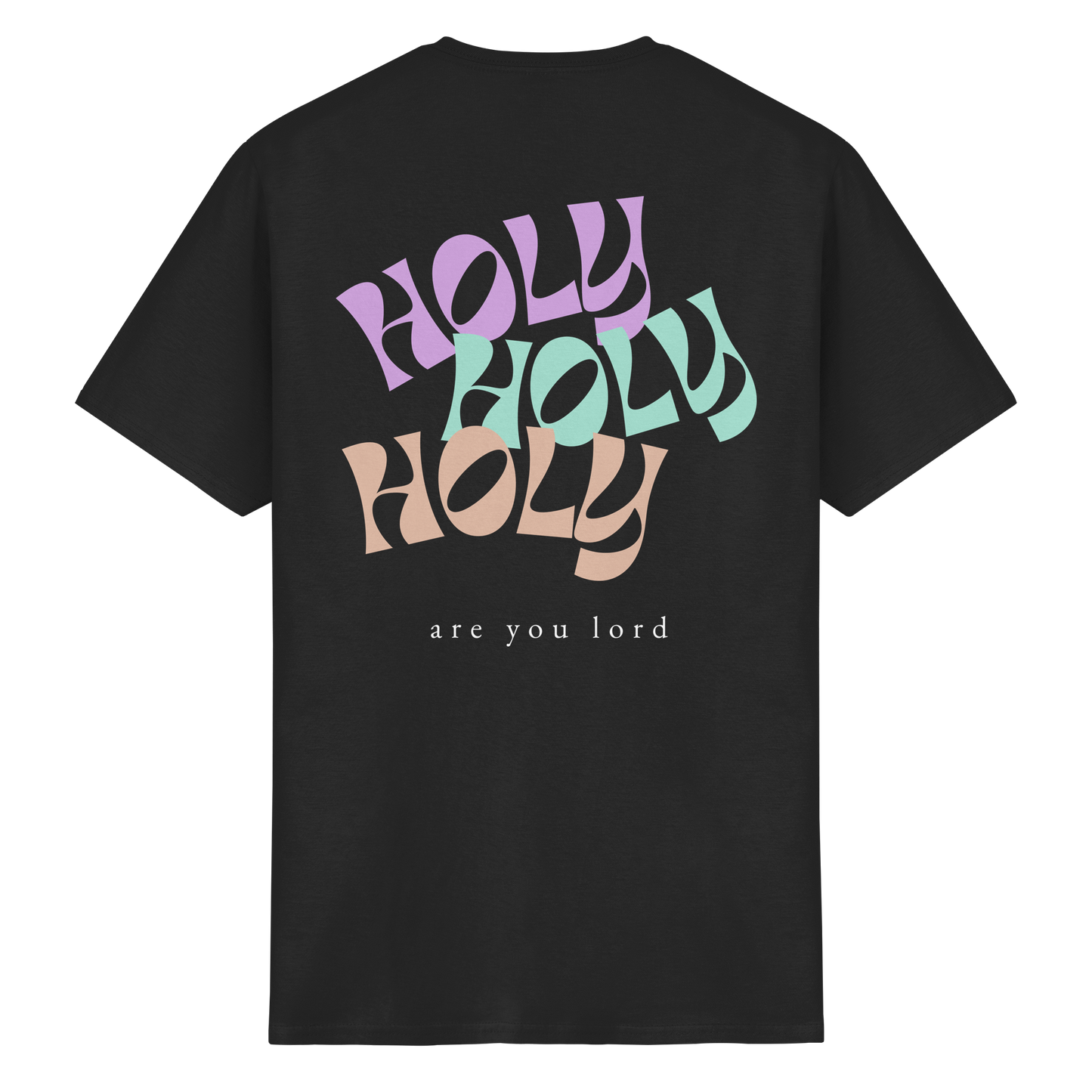 HOLY - are you lord - T-Shirt