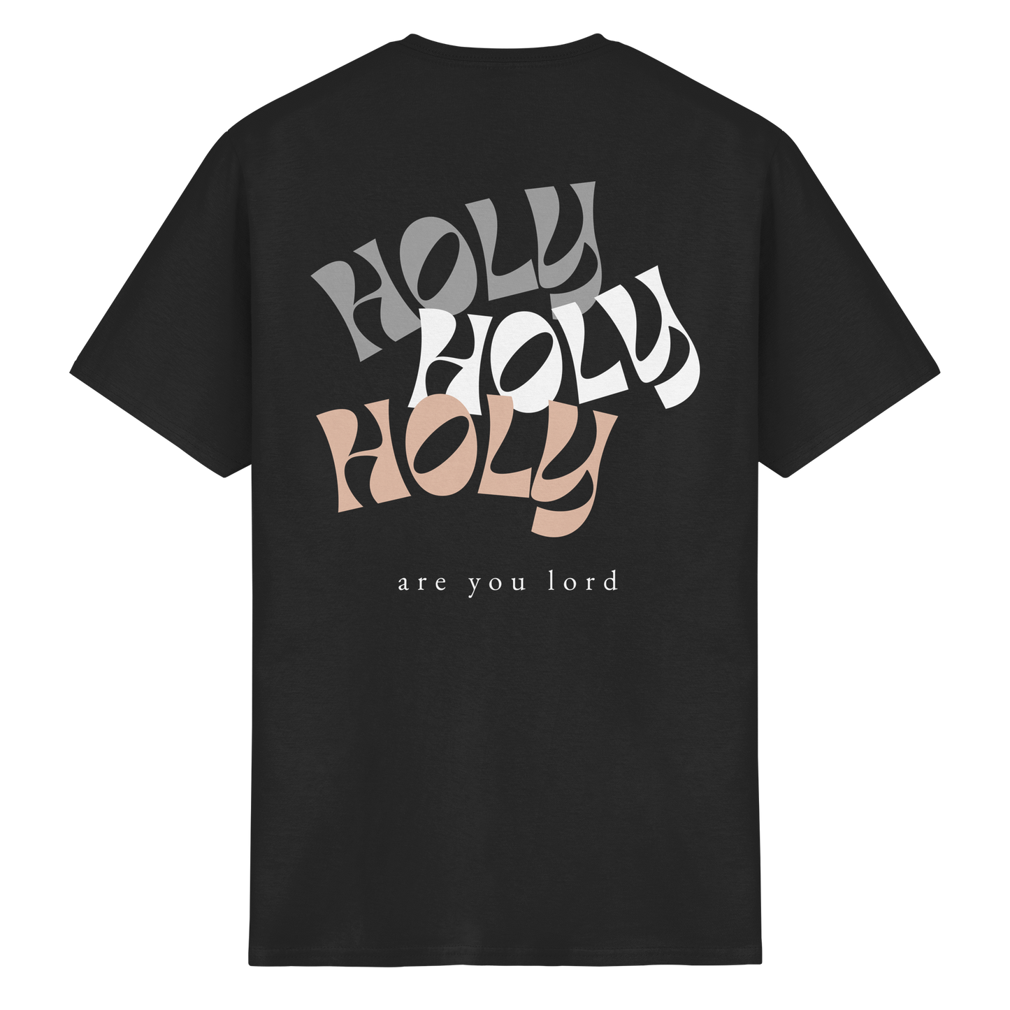HOLY - are you lord - T-Shirt