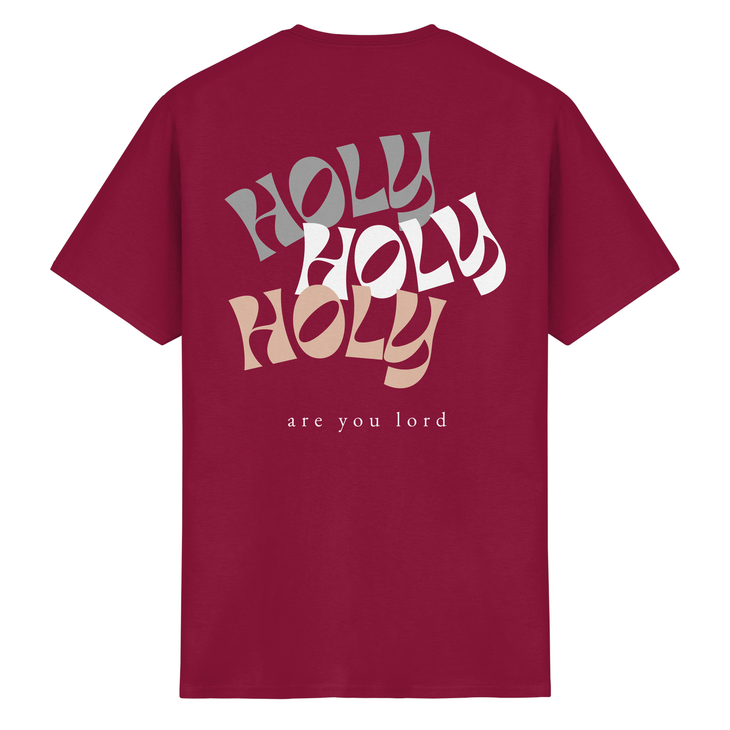 HOLY - are you lord - T-Shirt