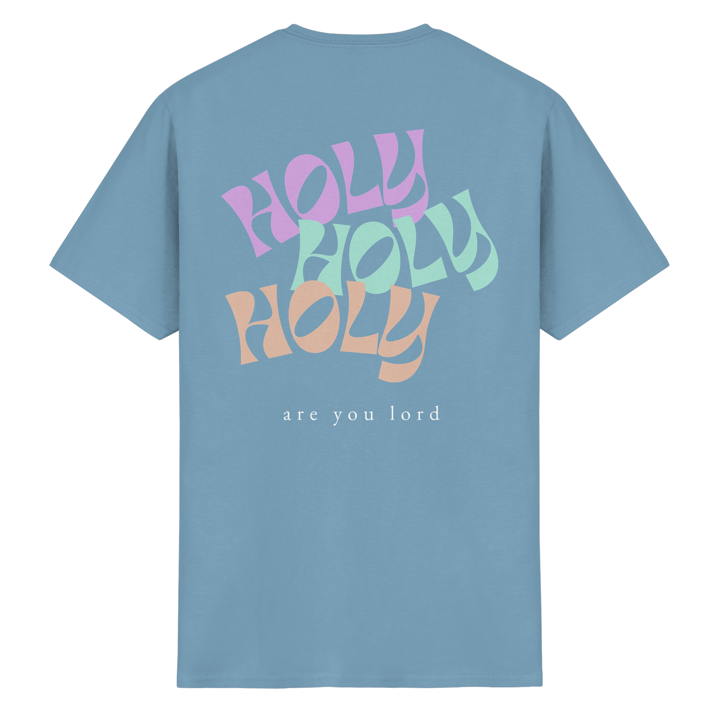 HOLY - are you lord - T-Shirt