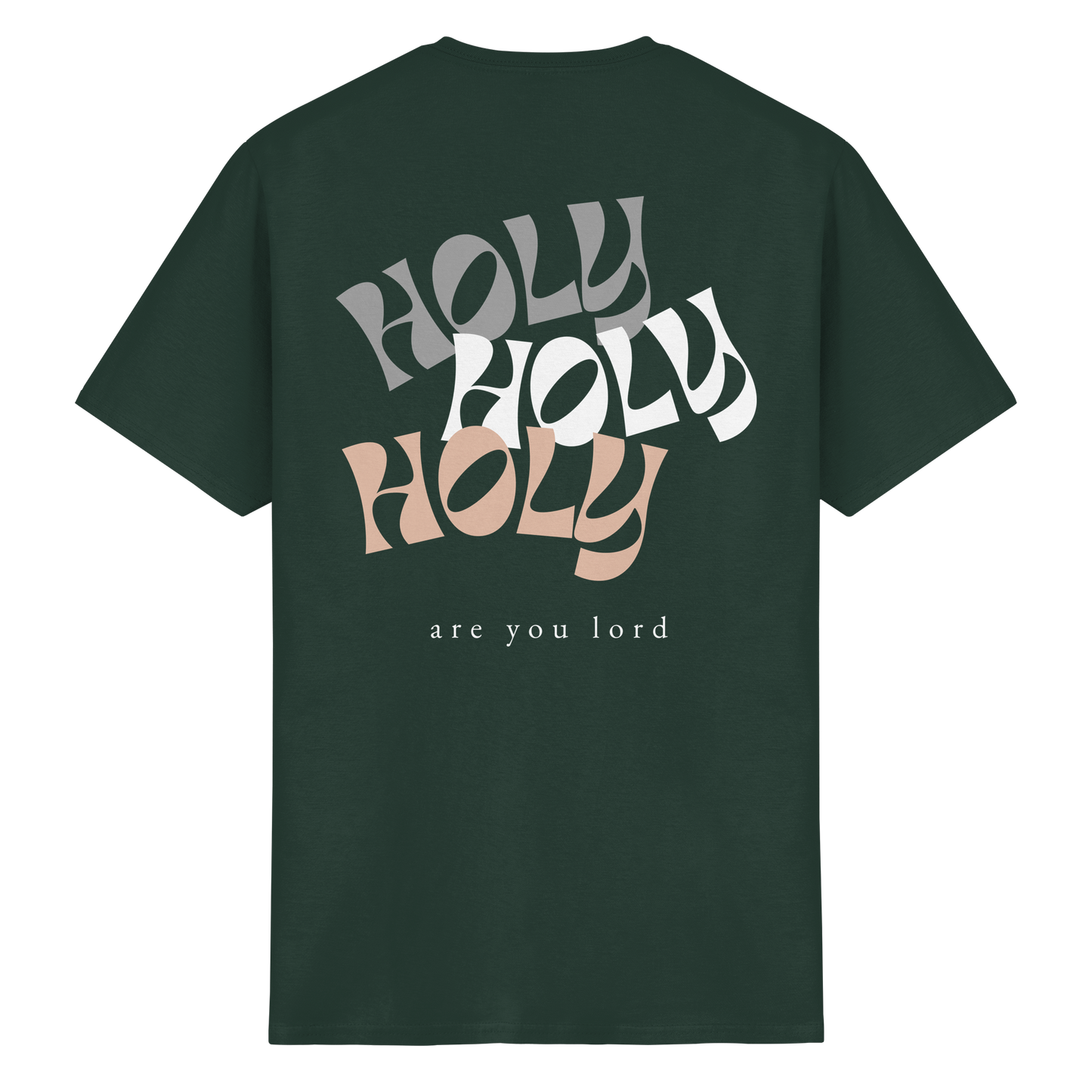 HOLY - are you lord - T-Shirt