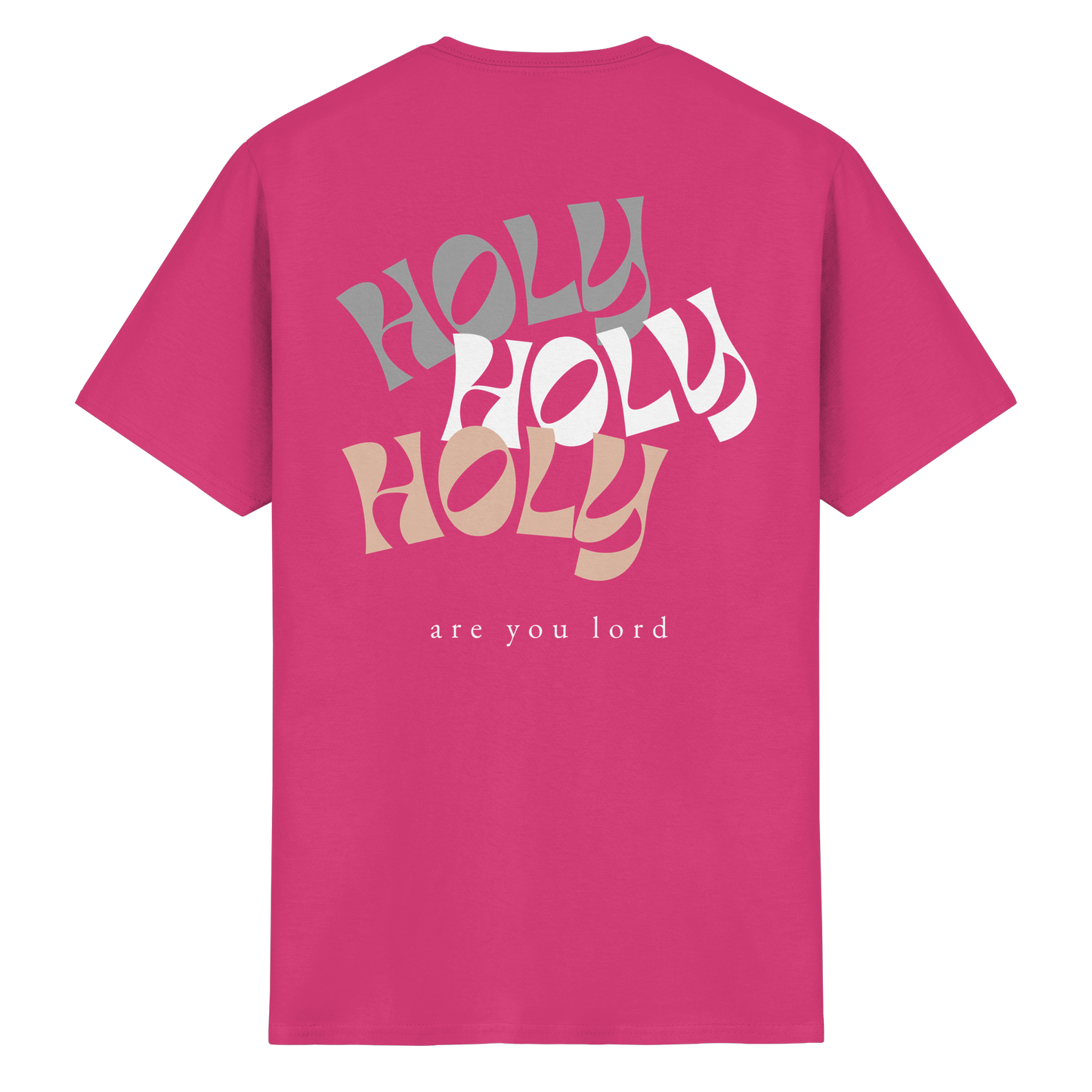 HOLY - are you lord - T-Shirt