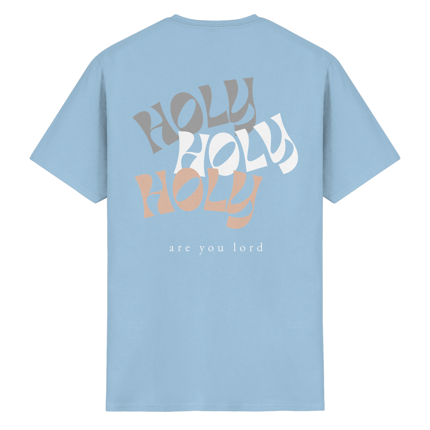 HOLY - are you lord - T-Shirt