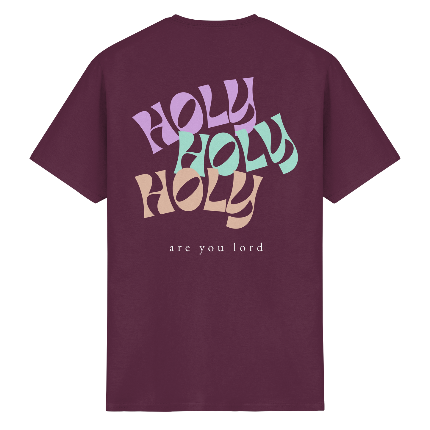 HOLY - are you lord - T-Shirt