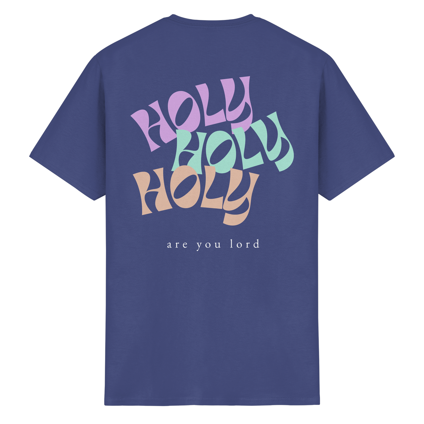HOLY - are you lord - T-Shirt