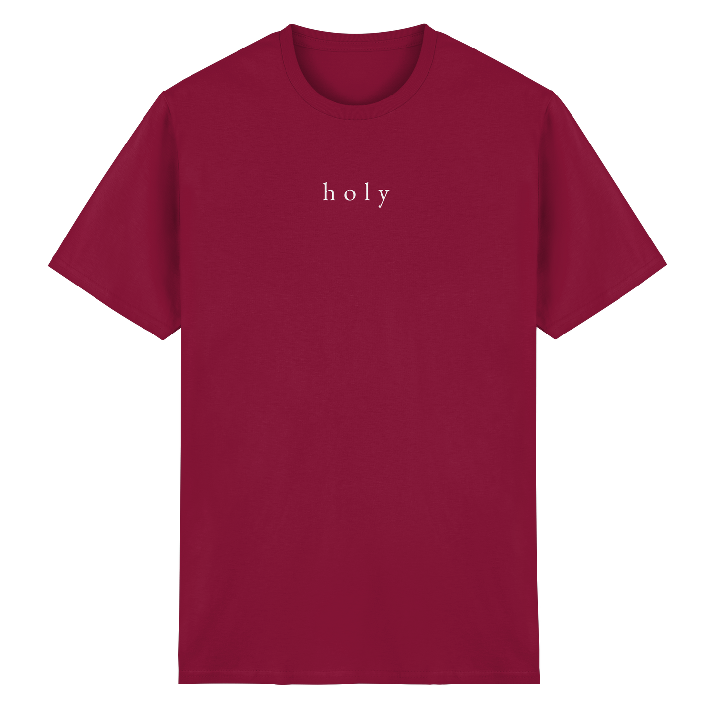 HOLY - are you lord - T-Shirt