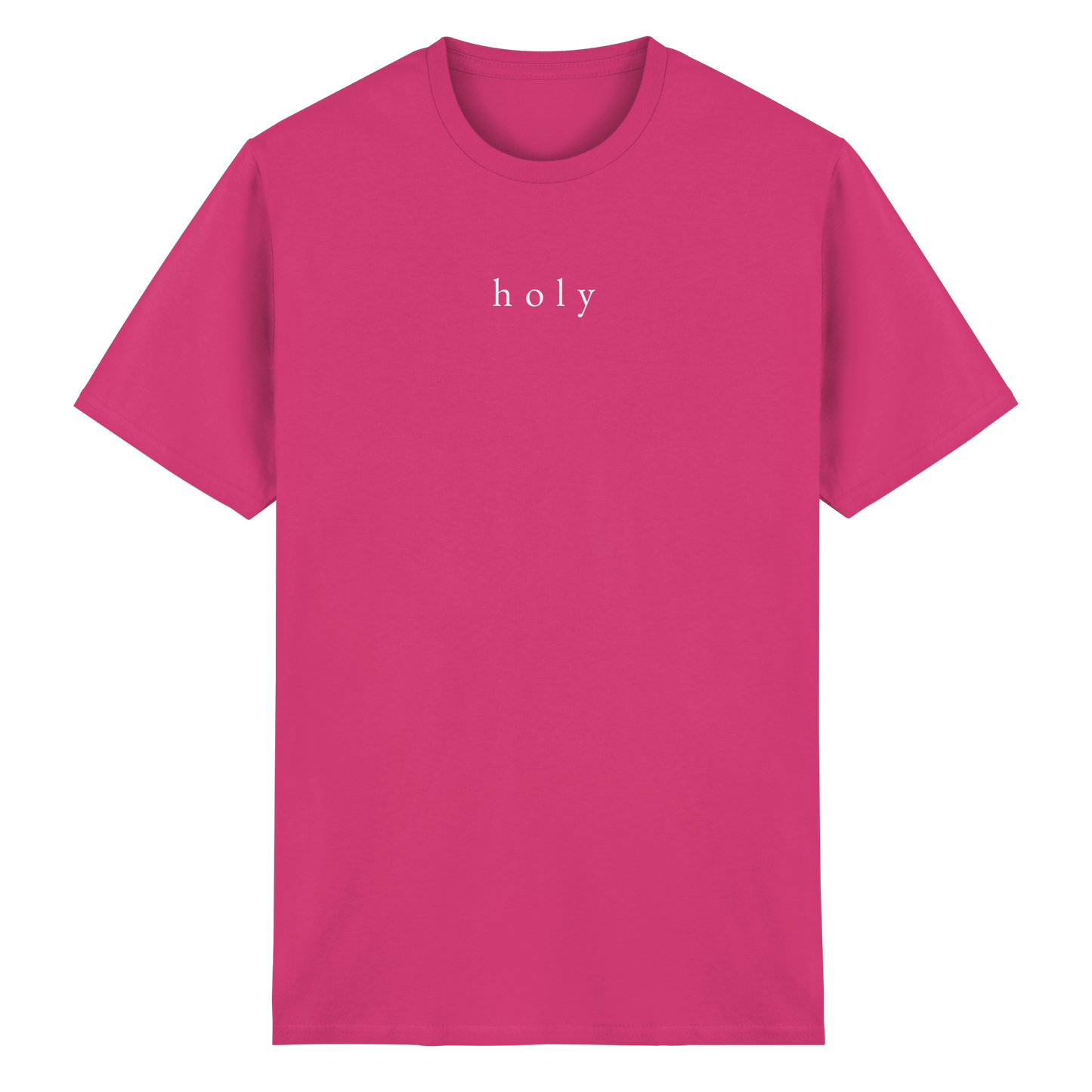 HOLY - are you lord - T-Shirt