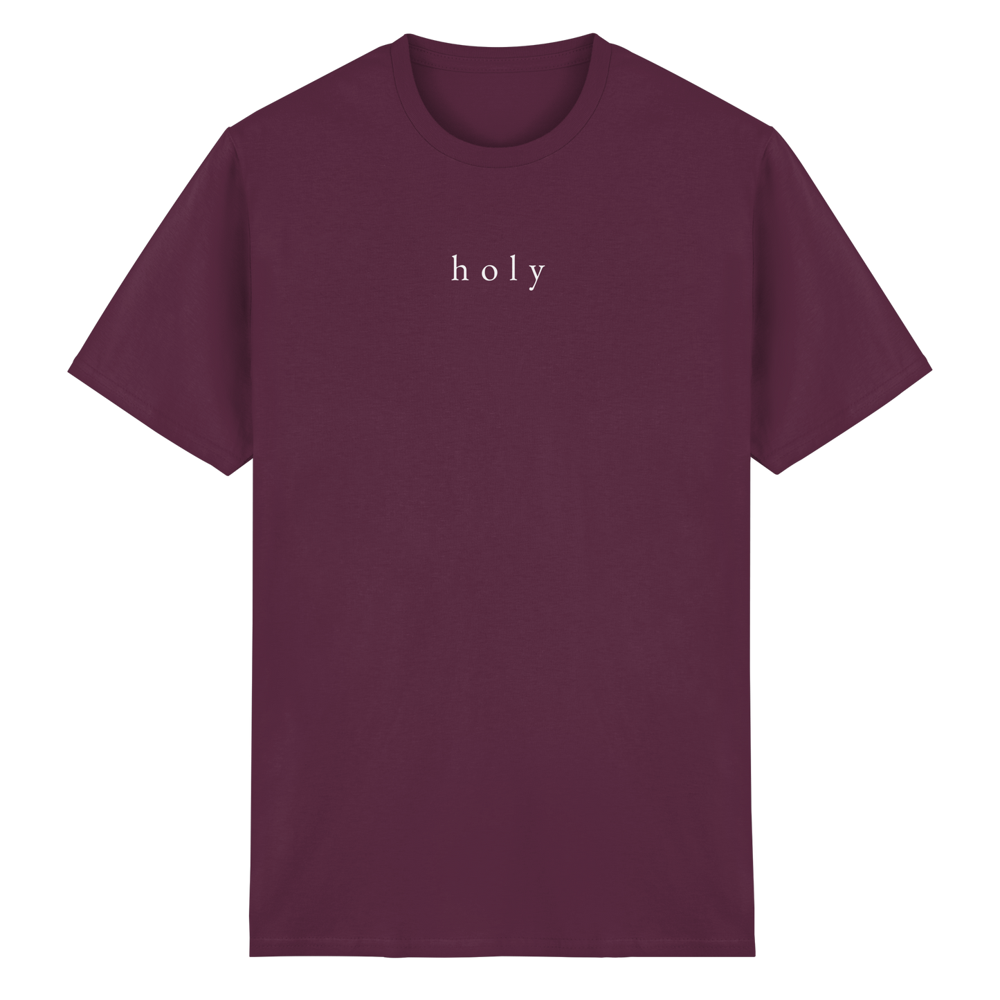 HOLY - are you lord - T-Shirt